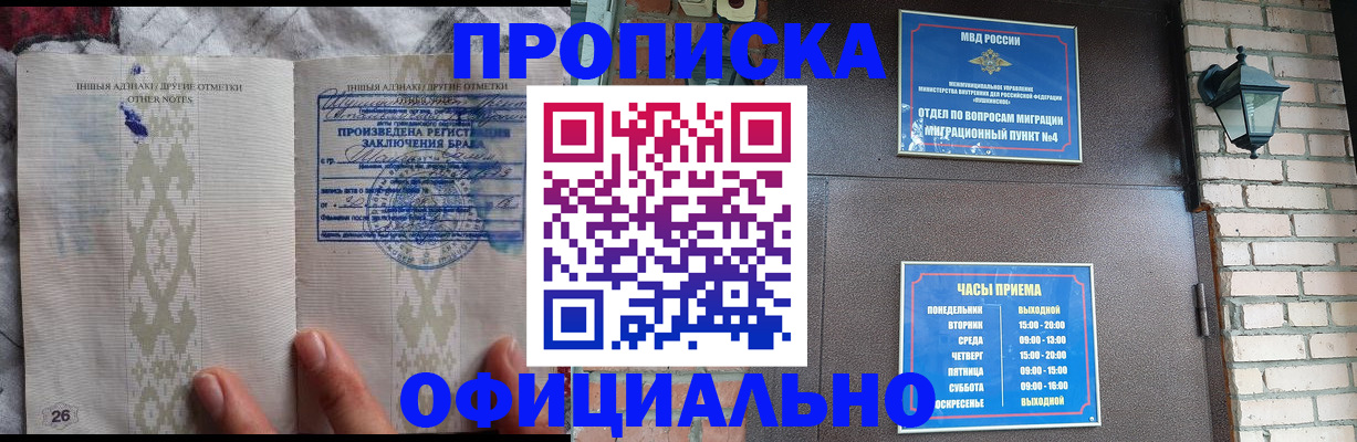 прописка поиск в Александровске